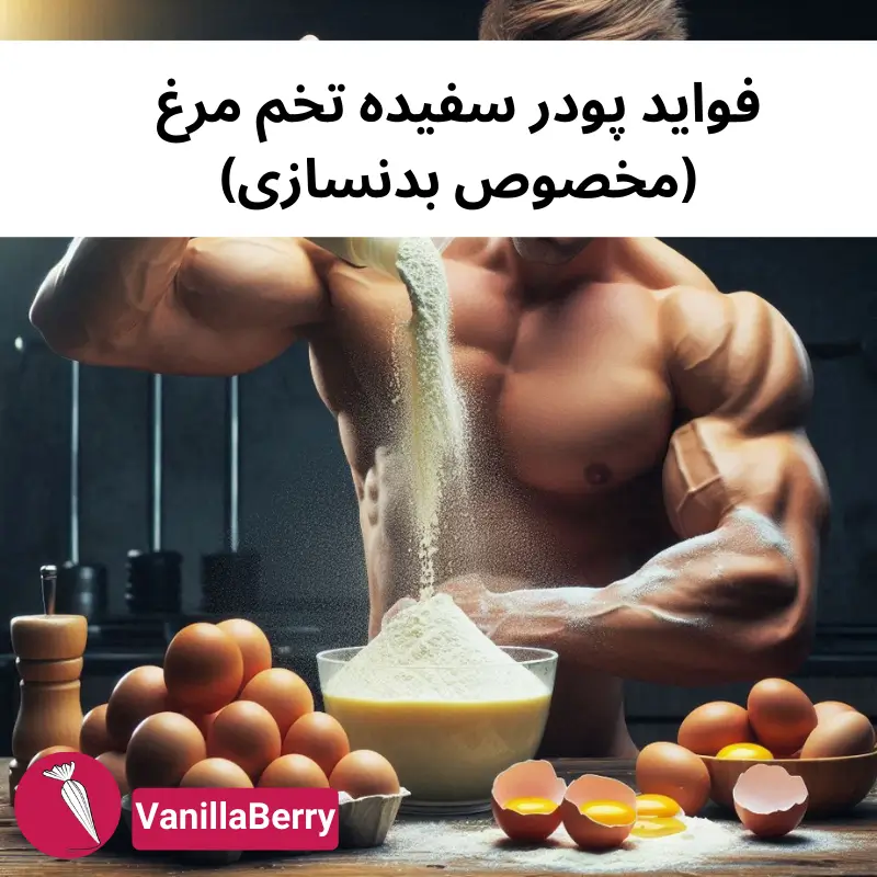 فواید پودر سفیده تخم مرغ مخصوص بدنسازی