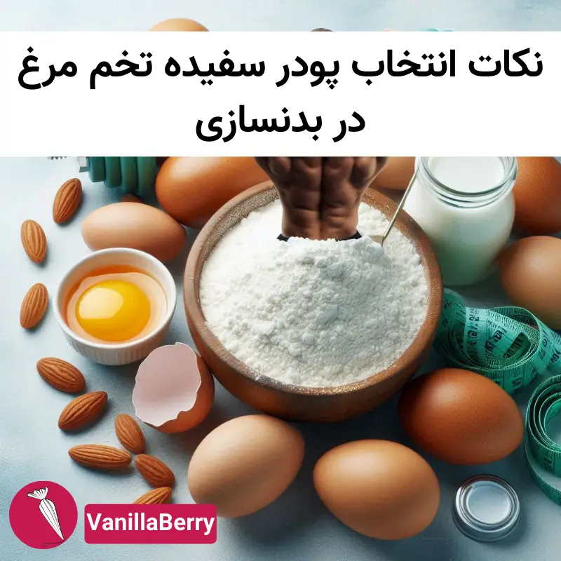 نکات انتخاب پودر سفیده تخم مرغ در بدنسازی